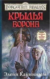 Читайте книги онлайн на Bookidrom.ru! Бесплатные книги в одном клике Элейн Каннингем - Крылья ворона