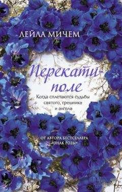 Читайте книги онлайн на Bookidrom.ru! Бесплатные книги в одном клике Лейла Мичем - Перекати-поле