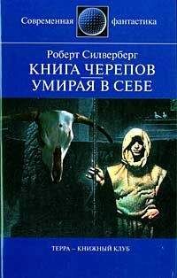 Читайте книги онлайн на Bookidrom.ru! Бесплатные книги в одном клике Роберт Силверберг - Книга Черепов
