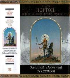 Читайте книги онлайн на Bookidrom.ru! Бесплатные книги в одном клике Андрэ Нортон - Золотой Небесный Триллиум