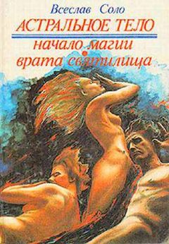 Читайте книги онлайн на Bookidrom.ru! Бесплатные книги в одном клике Всеслав Соло - Астральное тело-1, Скоморох или Начало Магии