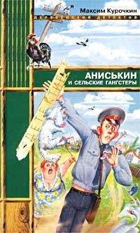 Читайте книги онлайн на Bookidrom.ru! Бесплатные книги в одном клике Максим Курочкин - Аниськин и сельские гангстеры