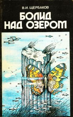 Читайте книги онлайн на Bookidrom.ru! Бесплатные книги в одном клике Владимир Щербаков - Болид над озером