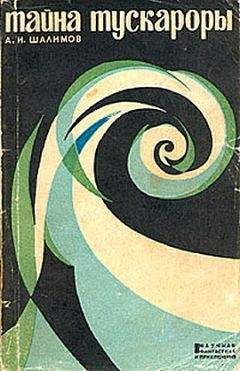 Читайте книги онлайн на Bookidrom.ru! Бесплатные книги в одном клике Александр Шалимов - Тайна 