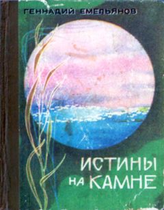 Читайте книги онлайн на Bookidrom.ru! Бесплатные книги в одном клике Геннадий Емельянов - Истины на камне