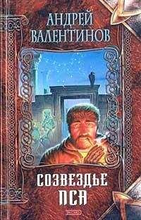 Читайте книги онлайн на Bookidrom.ru! Бесплатные книги в одном клике Андрей Валентинов - Созвездье Пса