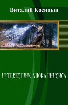 Читайте книги онлайн на Bookidrom.ru! Бесплатные книги в одном клике Виталий Косицын - Предвестник апокалипсиса (СИ)