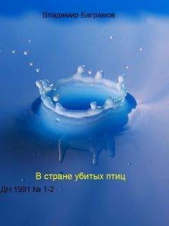 Читайте книги онлайн на Bookidrom.ru! Бесплатные книги в одном клике Владимир Баграмов - Страна убитых птиц
