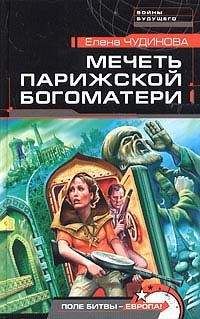 Читайте книги онлайн на Bookidrom.ru! Бесплатные книги в одном клике Елена Чудинова - Мечеть Парижской Богоматери