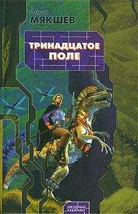 Читайте книги онлайн на Bookidrom.ru! Бесплатные книги в одном клике Антон Мякшев - Тринадцатое Поле