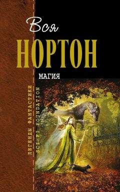 Читайте книги онлайн на Bookidrom.ru! Бесплатные книги в одном клике Андрэ Нортон - Магия (сборник)