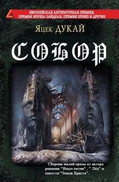 Читайте книги онлайн на Bookidrom.ru! Бесплатные книги в одном клике Яцек Дукай - Собор (сборник)