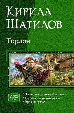 Читайте книги онлайн на Bookidrom.ru! Бесплатные книги в одном клике Кирилл Шатилов - Кровь и грязь