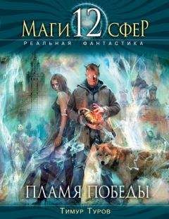Читайте книги онлайн на Bookidrom.ru! Бесплатные книги в одном клике Тимур Туров - Пламя Победы
