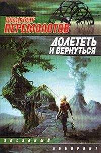 Читайте книги онлайн на Bookidrom.ru! Бесплатные книги в одном клике Владимир Перемолотов - Долететь и вернуться