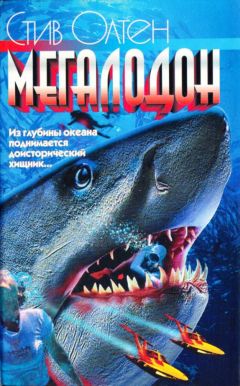 Читайте книги онлайн на Bookidrom.ru! Бесплатные книги в одном клике Стив Олтен - Мегалодон