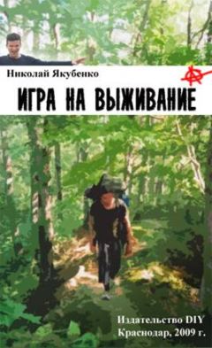 Читайте книги онлайн на Bookidrom.ru! Бесплатные книги в одном клике Николай Якубенко - Игра на выживание. Острие Иглы.