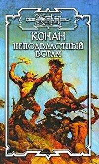 Читайте книги онлайн на Bookidrom.ru! Бесплатные книги в одном клике Брайан Толуэлл - Неподвластный богам