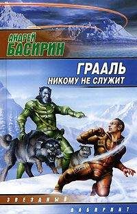 Читайте книги онлайн на Bookidrom.ru! Бесплатные книги в одном клике Андрей Басирин - Грааль никому не служит