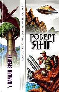 Читайте книги онлайн на Bookidrom.ru! Бесплатные книги в одном клике Роберт Янг - Повелитель Света