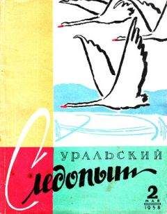 Читайте книги онлайн на Bookidrom.ru! Бесплатные книги в одном клике Чи Шу-Чан - Слоны без хобота