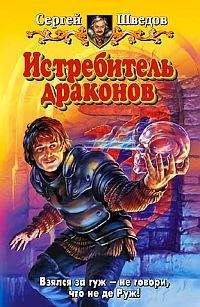 Читайте книги онлайн на Bookidrom.ru! Бесплатные книги в одном клике Сергей Шведов - Истребитель драконов