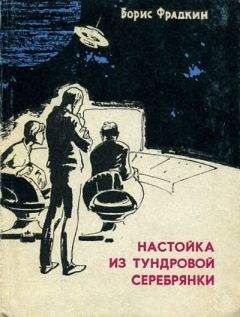 Читайте книги онлайн на Bookidrom.ru! Бесплатные книги в одном клике Борис Фрадкин - Настойка из тундровой серебрянки