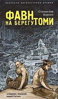 Читайте книги онлайн на Bookidrom.ru! Бесплатные книги в одном клике Станислав Буркин - Фавн на берегу Томи