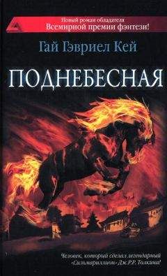 Читайте книги онлайн на Bookidrom.ru! Бесплатные книги в одном клике Гай Кей - Поднебесная