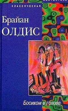 Читайте книги онлайн на Bookidrom.ru! Бесплатные книги в одном клике Брайан Олдис - Босиком в голове