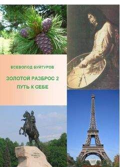 Читайте книги онлайн на Bookidrom.ru! Бесплатные книги в одном клике Всеволод Буйтуров - Золотой Разброс 2. Путь к себе