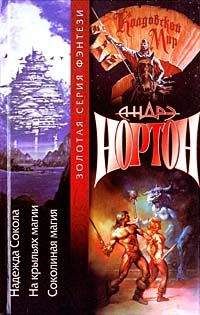 Читайте книги онлайн на Bookidrom.ru! Бесплатные книги в одном клике Андрэ Нортон - Соколиная магия