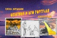 Читайте книги онлайн на Bookidrom.ru! Бесплатные книги в одном клике Елена Ларичева - Охотник И Его Горгулья