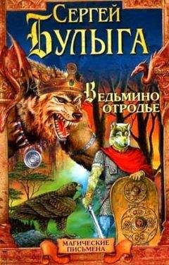 Читайте книги онлайн на Bookidrom.ru! Бесплатные книги в одном клике Булыга Сергей - Ведьмино отродье