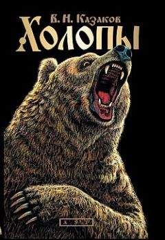 Читайте книги онлайн на Bookidrom.ru! Бесплатные книги в одном клике Валерий Казаков - Холопы