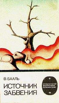 Читайте книги онлайн на Bookidrom.ru! Бесплатные книги в одном клике Вольдемар Бааль - Источник забвения