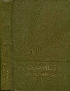 Читайте книги онлайн на Bookidrom.ru! Бесплатные книги в одном клике Александр Казанцев - Том (9). Клокочущая пустота