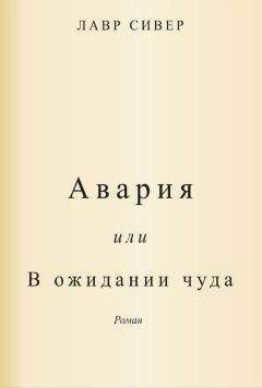Читайте книги онлайн на Bookidrom.ru! Бесплатные книги в одном клике Лавр Сивер - Авария или В ожидании чуда