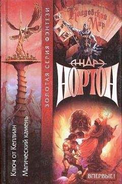 Читайте книги онлайн на Bookidrom.ru! Бесплатные книги в одном клике Андрэ Нортон - Ключ от Кеплиан
