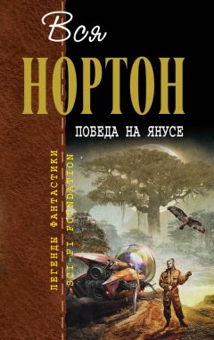 Читайте книги онлайн на Bookidrom.ru! Бесплатные книги в одном клике Андрэ Нортон - Победа на Янусе