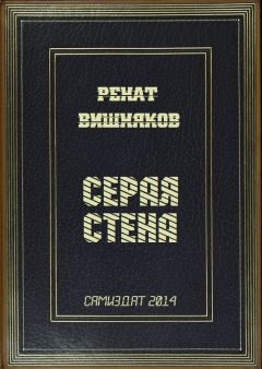 Читайте книги онлайн на Bookidrom.ru! Бесплатные книги в одном клике Ренат Вишняков - Серая стена