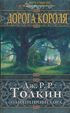 Читайте книги онлайн на Bookidrom.ru! Бесплатные книги в одном клике Андрэ Нортон - Девять золотых нитей