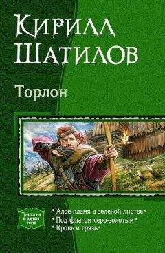 Читайте книги онлайн на Bookidrom.ru! Бесплатные книги в одном клике Кирилл Шатилов - Под флагом серо-золотым