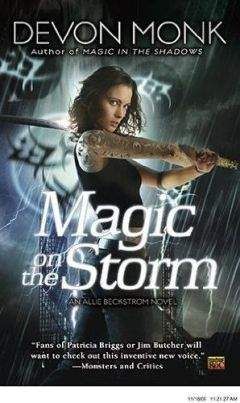 Читайте книги онлайн на Bookidrom.ru! Бесплатные книги в одном клике Devon Monk - Magic on the Storm