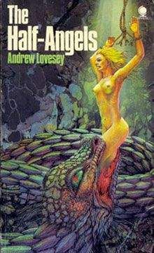 Читайте книги онлайн на Bookidrom.ru! Бесплатные книги в одном клике Андре Лавси - Полуангелы