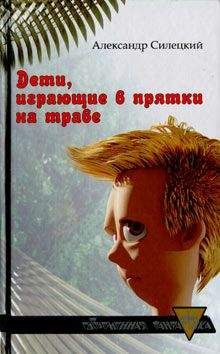 Читайте книги онлайн на Bookidrom.ru! Бесплатные книги в одном клике Александр Силецкий - Дети, играющие в прятки на траве