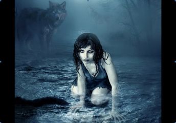 Читайте книги онлайн на Bookidrom.ru! Бесплатные книги в одном клике София Вебер - Посвящение