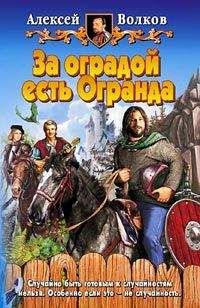 Читайте книги онлайн на Bookidrom.ru! Бесплатные книги в одном клике Алексей Волков - За оградой есть Огранда