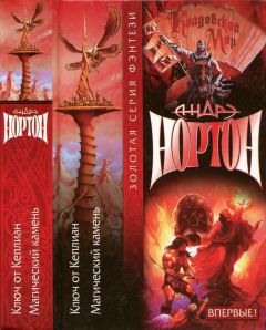 Читайте книги онлайн на Bookidrom.ru! Бесплатные книги в одном клике Андрэ Нортон - Ключ от Кеплиан. Магический камень