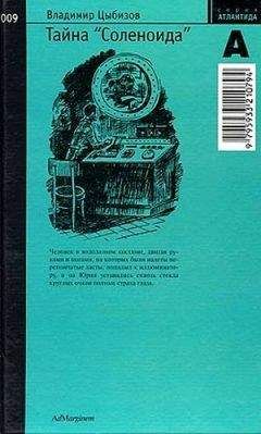 Читайте книги онлайн на Bookidrom.ru! Бесплатные книги в одном клике Владимир Цыбизов - Тайна «Соленоида»